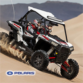 Polaris® 2020